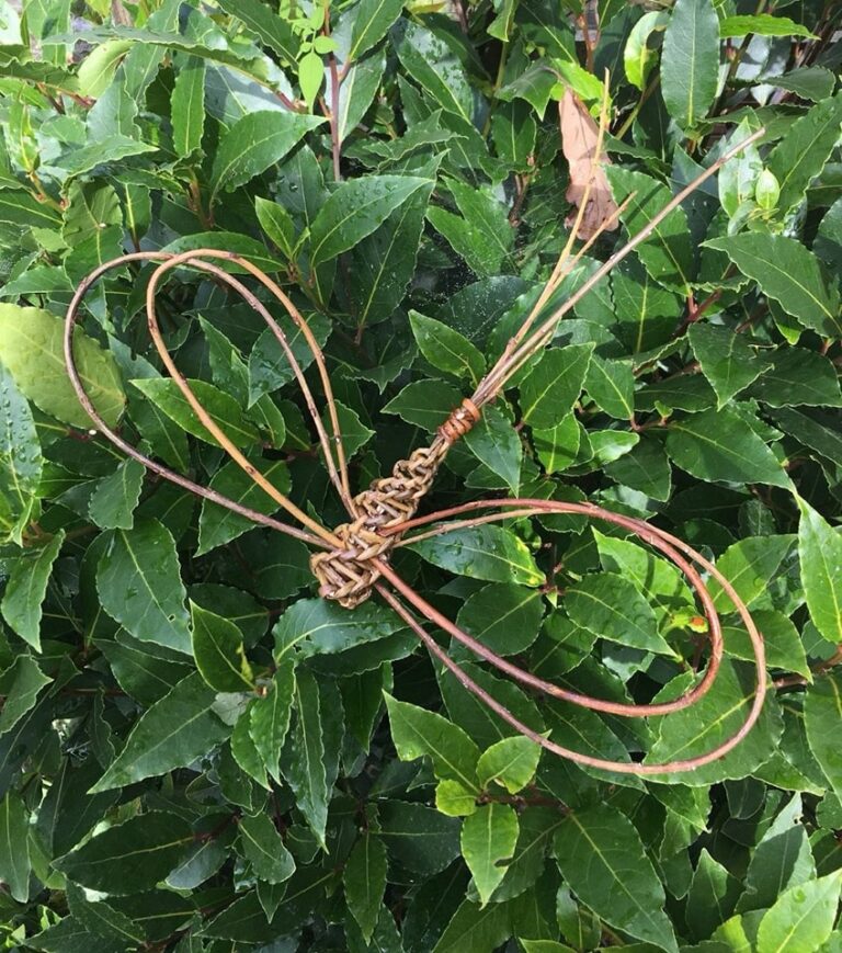 Willow Butterflies and Dragon Flies at The Lovely Cow Shed